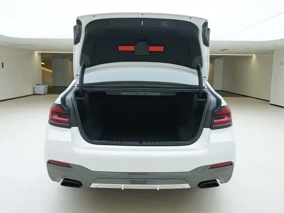 BMW 5 Series 2022 Facelift II 525Li M Sport Package — миниатюра 6
