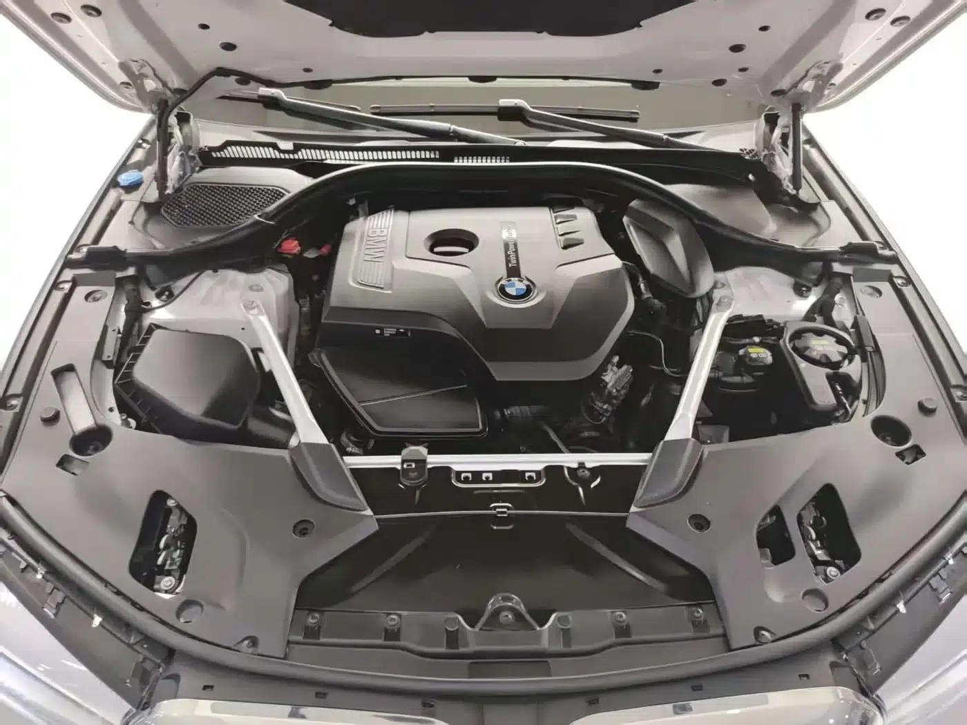 BMW 5 Series 2019 530Li Leading Luxury Package — миниатюра 19
