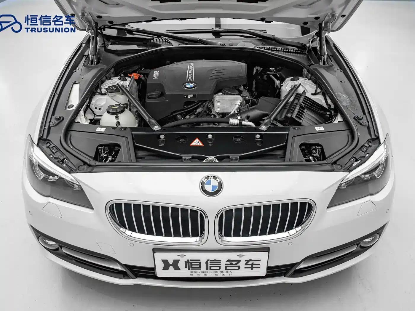 2014 BMW 5 Series 525Li Leading Edition — миниатюра 20
