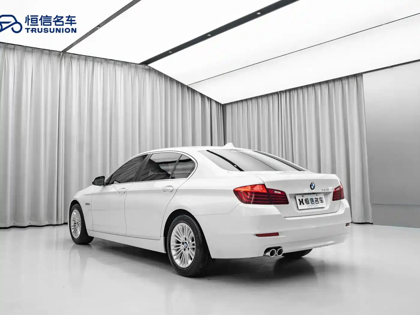 2014 BMW 5 Series 525Li Leading Edition — миниатюра 6