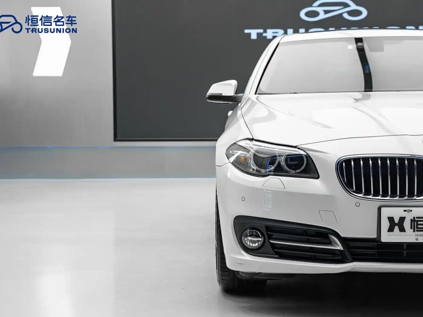 2014 BMW 5 Series 525Li Leading Edition — миниатюра 8