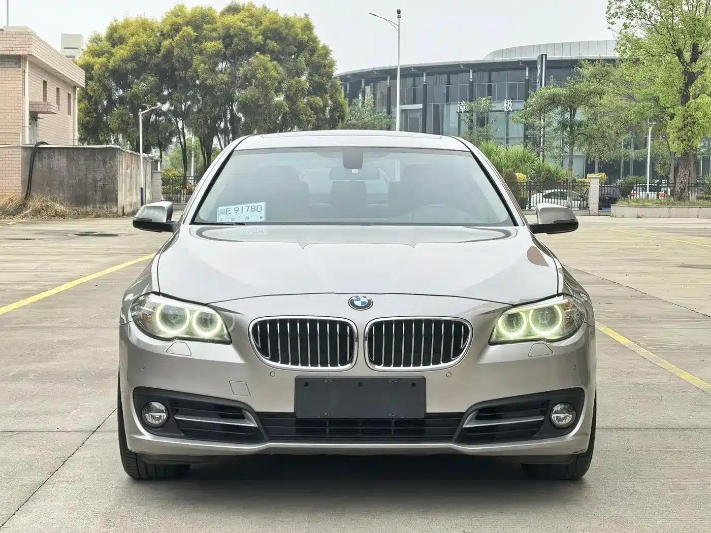 2014 BMW 5 Series 525Li Leading Edition — миниатюра 2