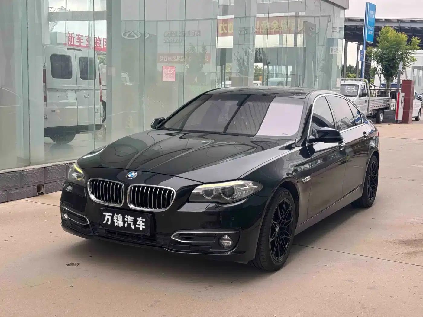 2014 BMW 5 Series 525Li Luxury Design Package — миниатюра 1