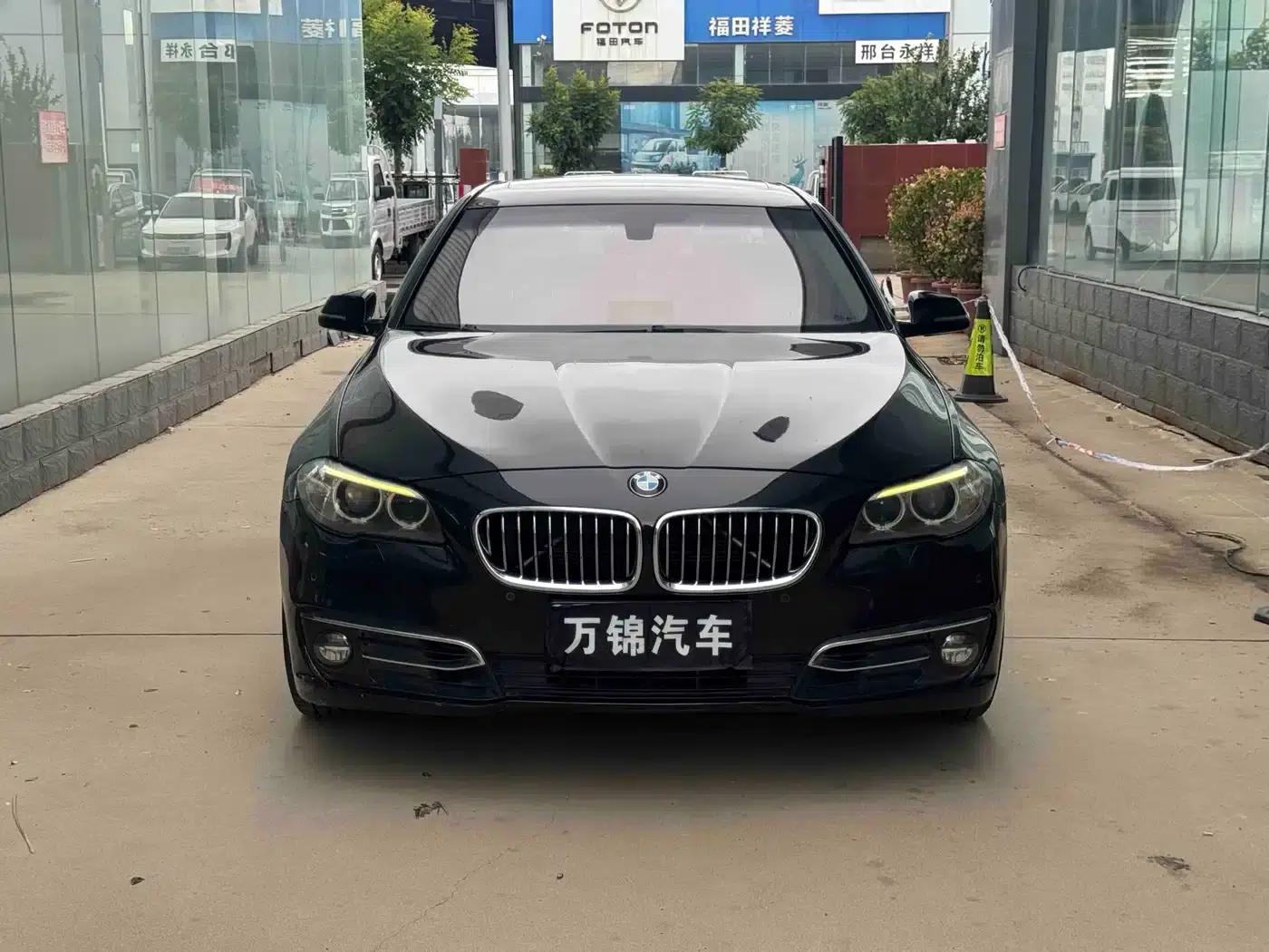 2014 BMW 5 Series 525Li Luxury Design Package — миниатюра 2