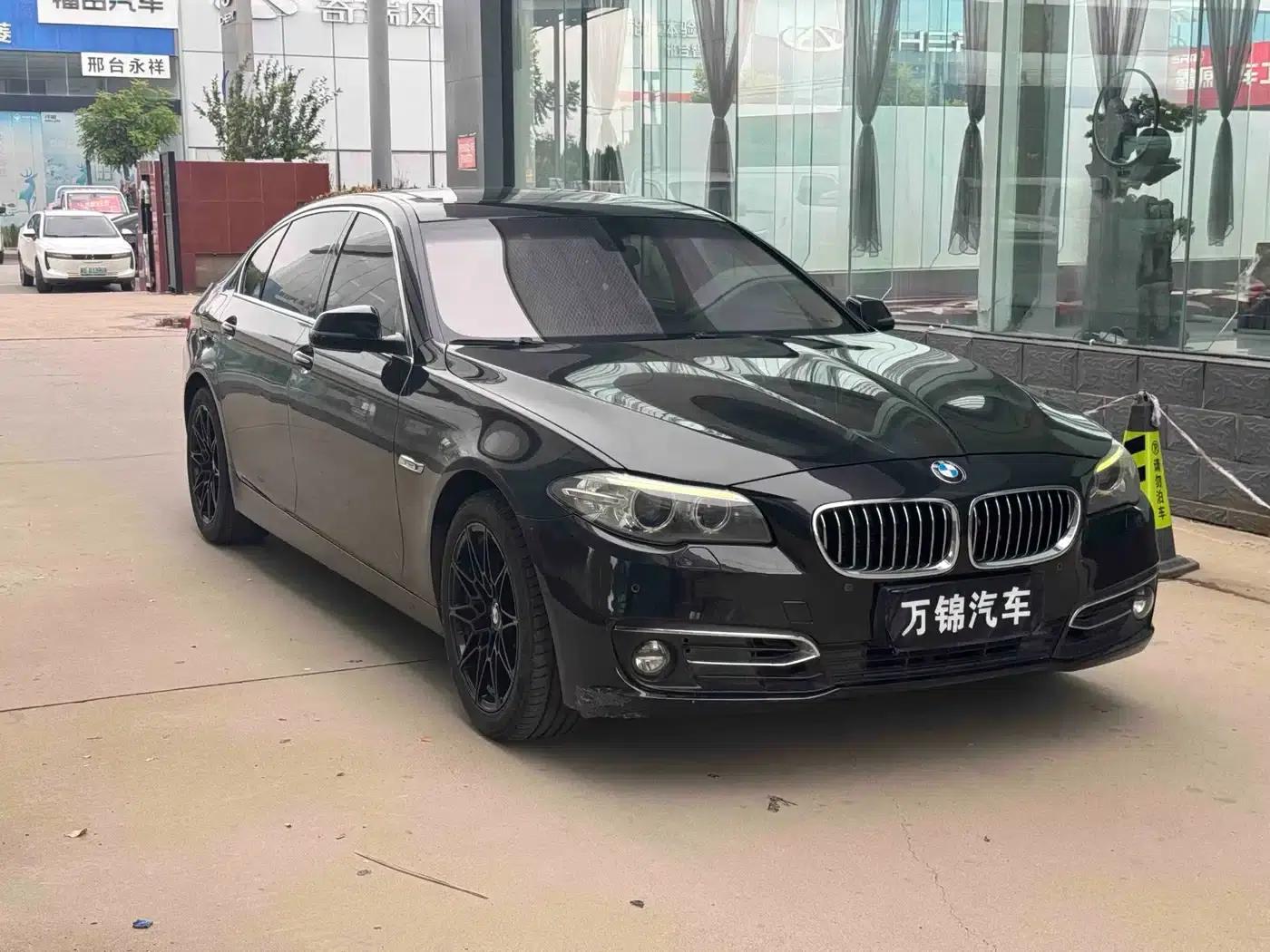2014 BMW 5 Series 525Li Luxury Design Package — миниатюра 3