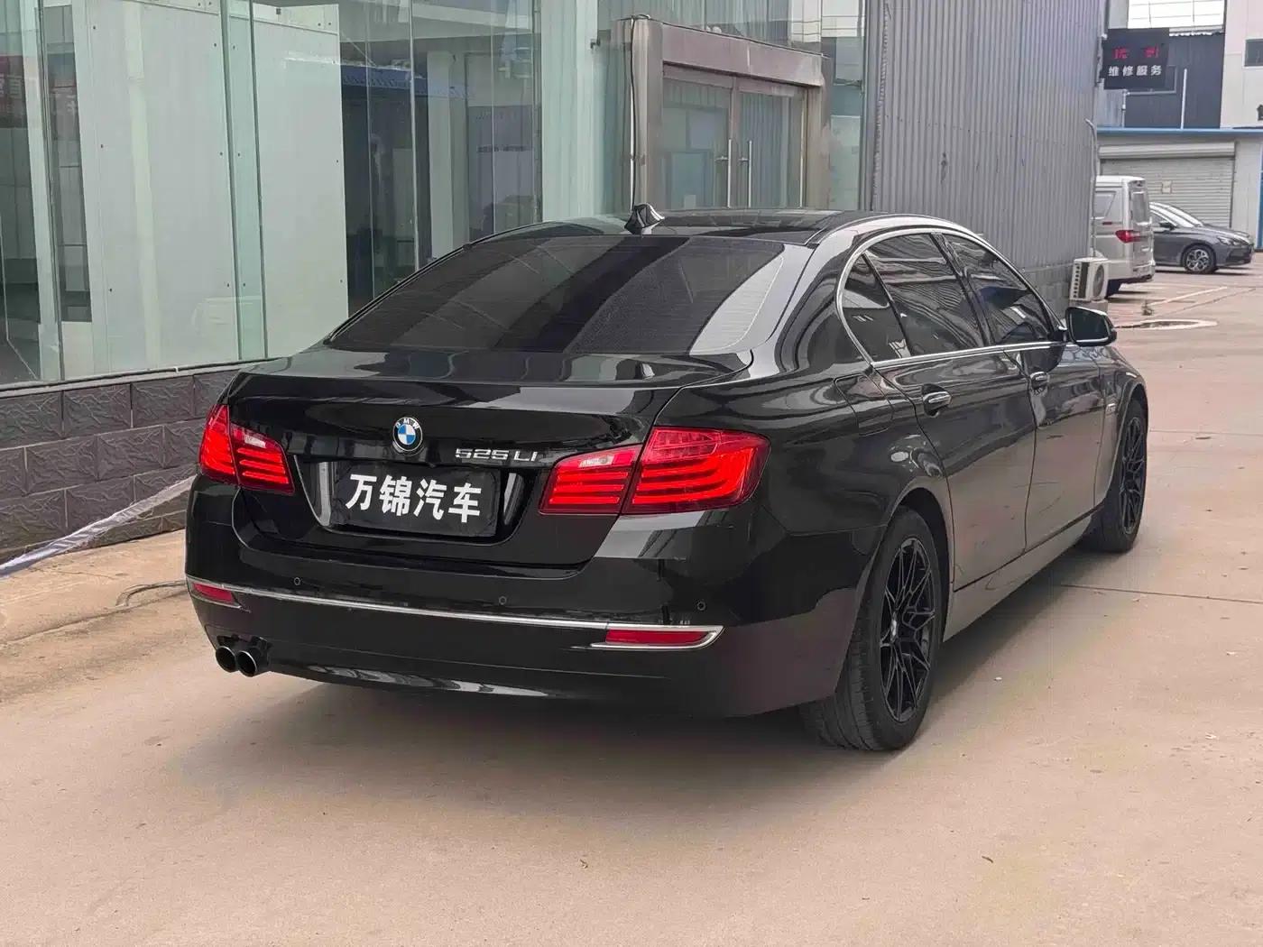 2014 BMW 5 Series 525Li Luxury Design Package — миниатюра 4