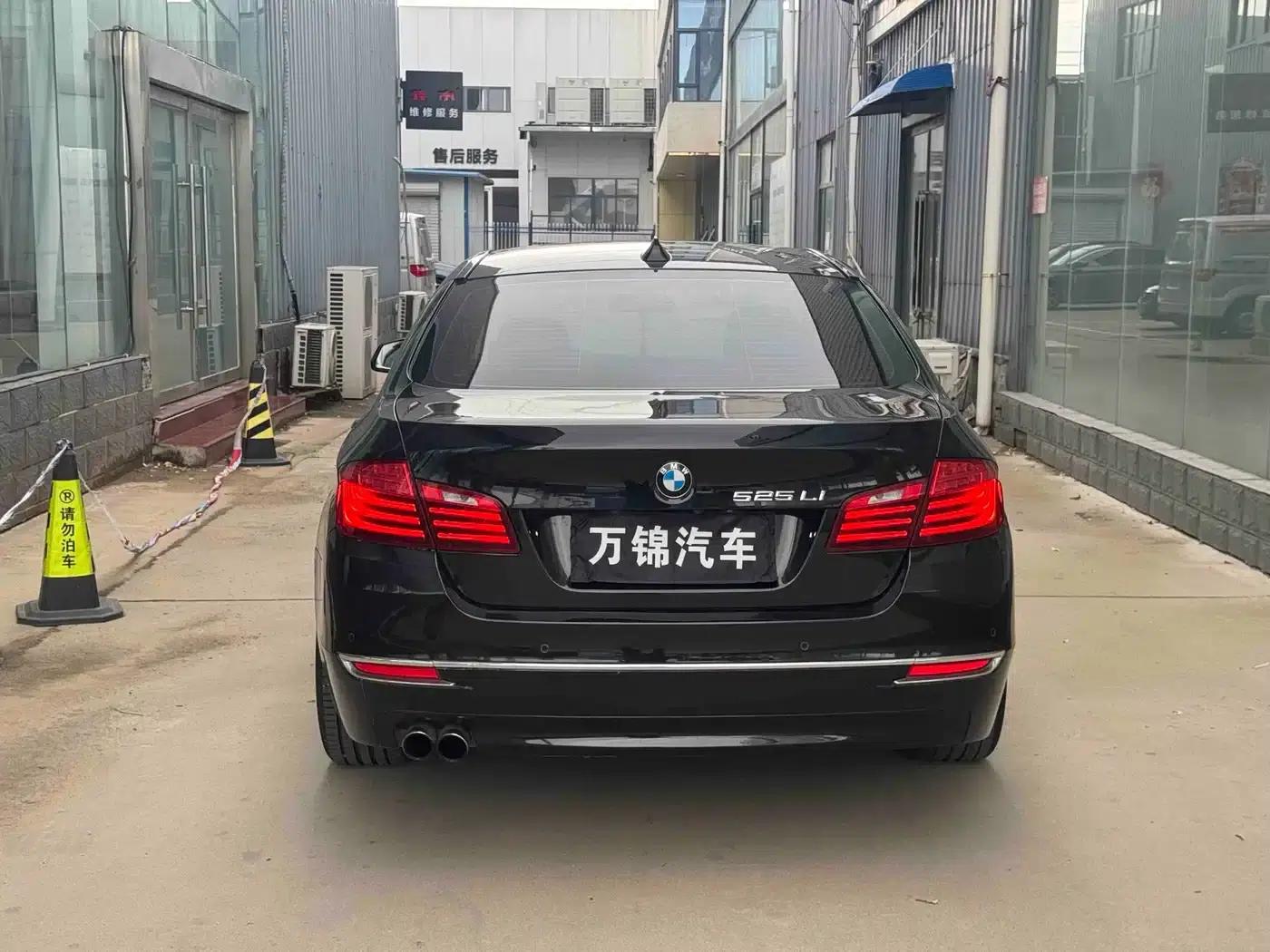 2014 BMW 5 Series 525Li Luxury Design Package — миниатюра 5