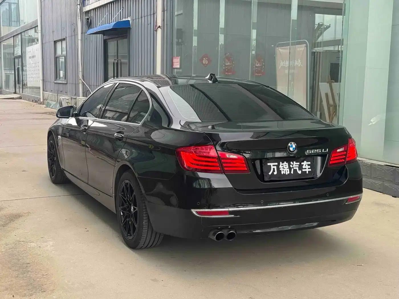 2014 BMW 5 Series 525Li Luxury Design Package — миниатюра 6
