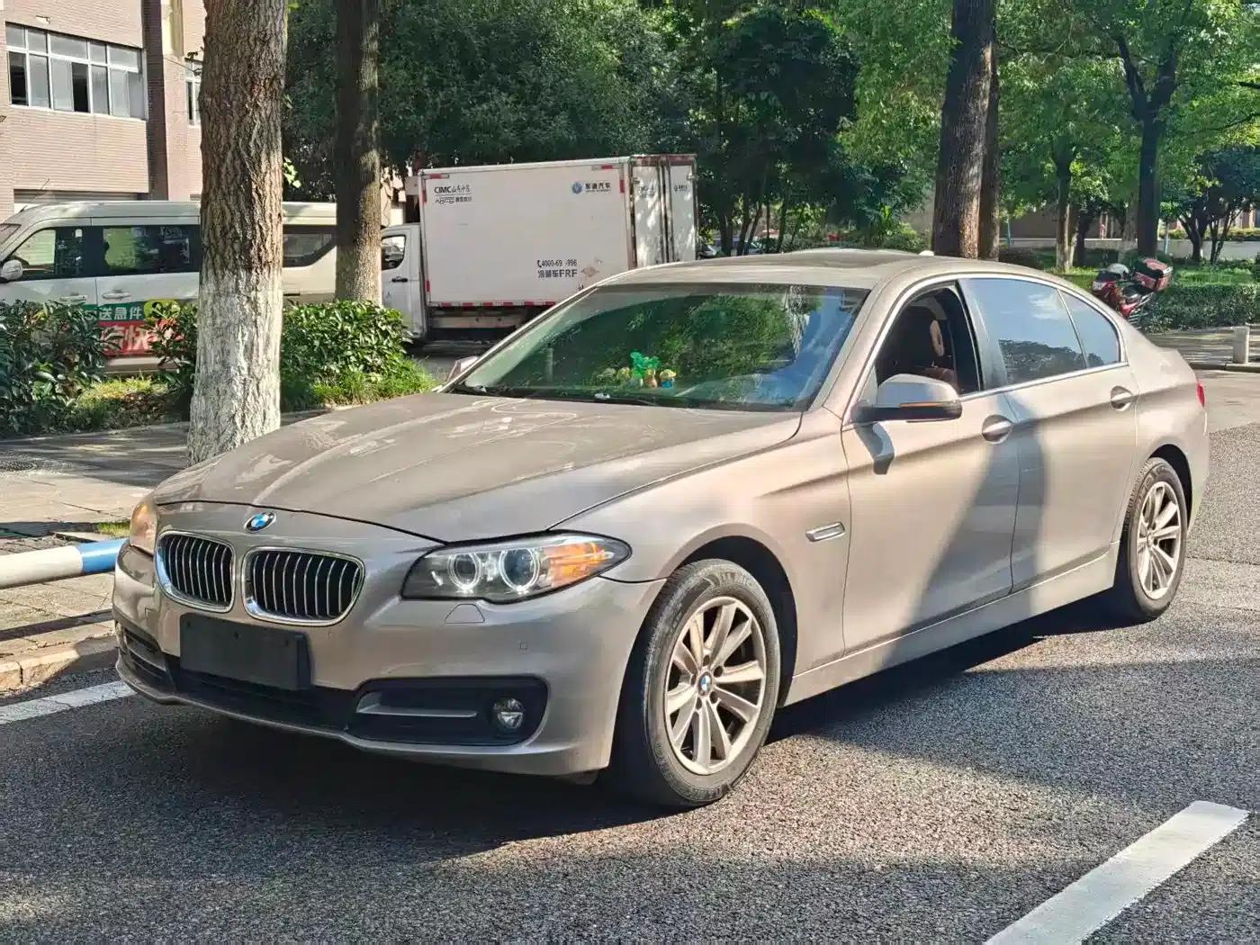 2014 BMW 5 Series 520Li Elegant Edition — миниатюра 1