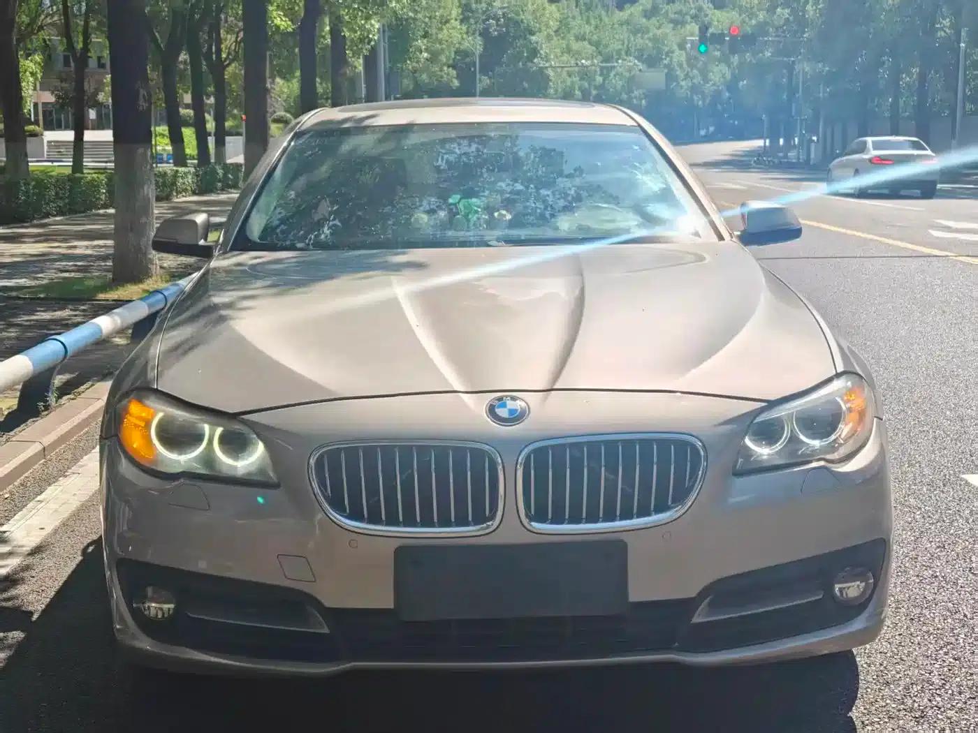 2014 BMW 5 Series 520Li Elegant Edition — миниатюра 2