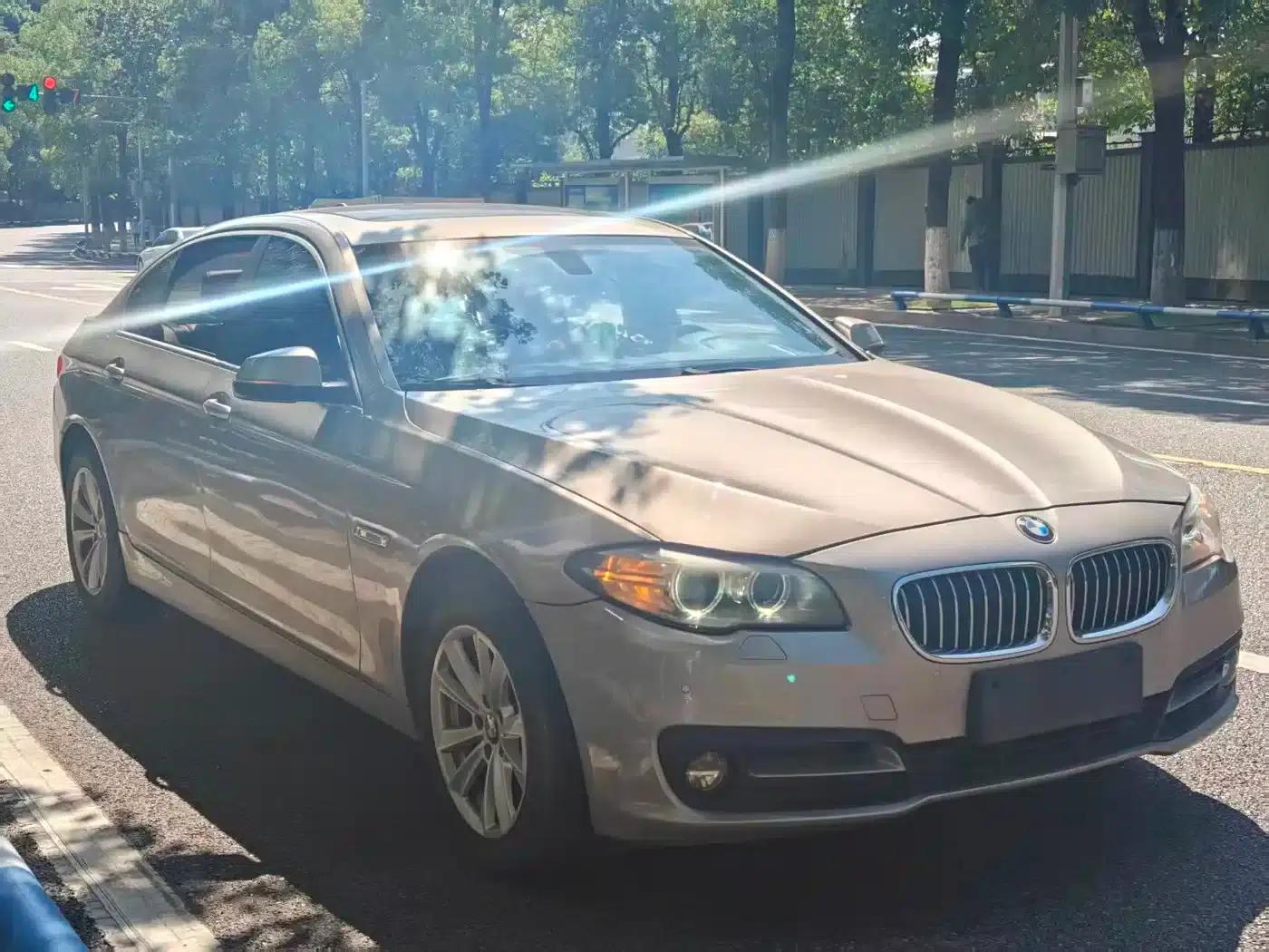 2014 BMW 5 Series 520Li Elegant Edition — миниатюра 3