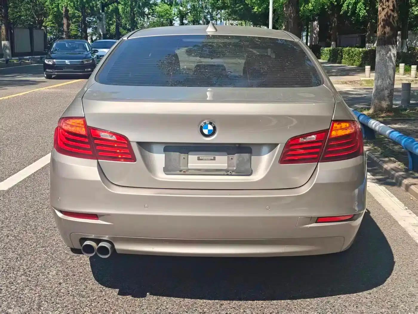 2014 BMW 5 Series 520Li Elegant Edition — миниатюра 8