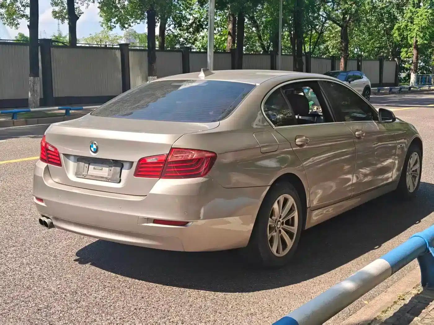 2014 BMW 5 Series 520Li Elegant Edition — миниатюра 9