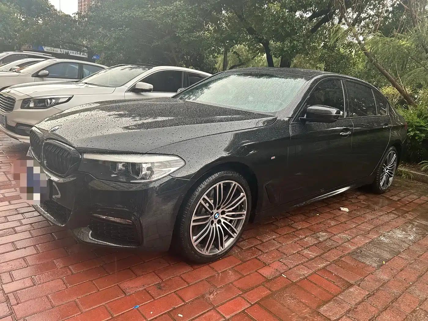 2018 BMW 5 Series 530Li Leading Edition M Sport Package — миниатюра 1