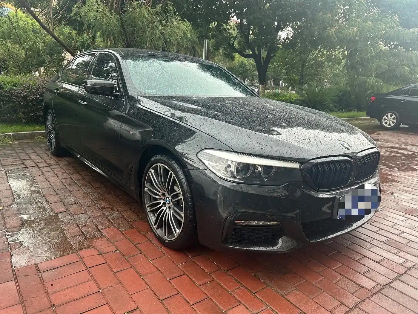 2018 BMW 5 Series 530Li Leading Edition M Sport Package — миниатюра 4