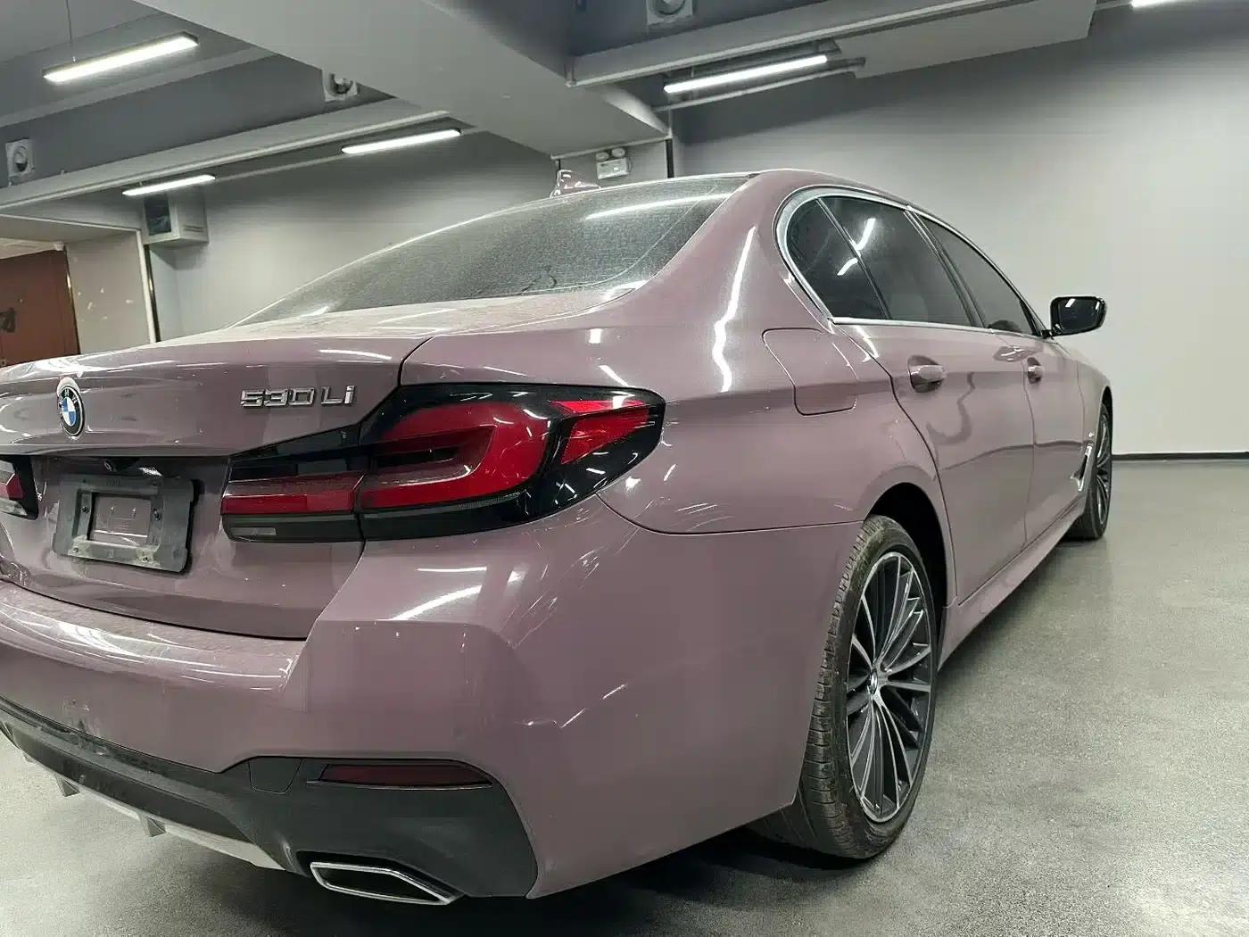 2021 BMW 5 Series 530Li Leading Edition M Sport Package — миниатюра 5