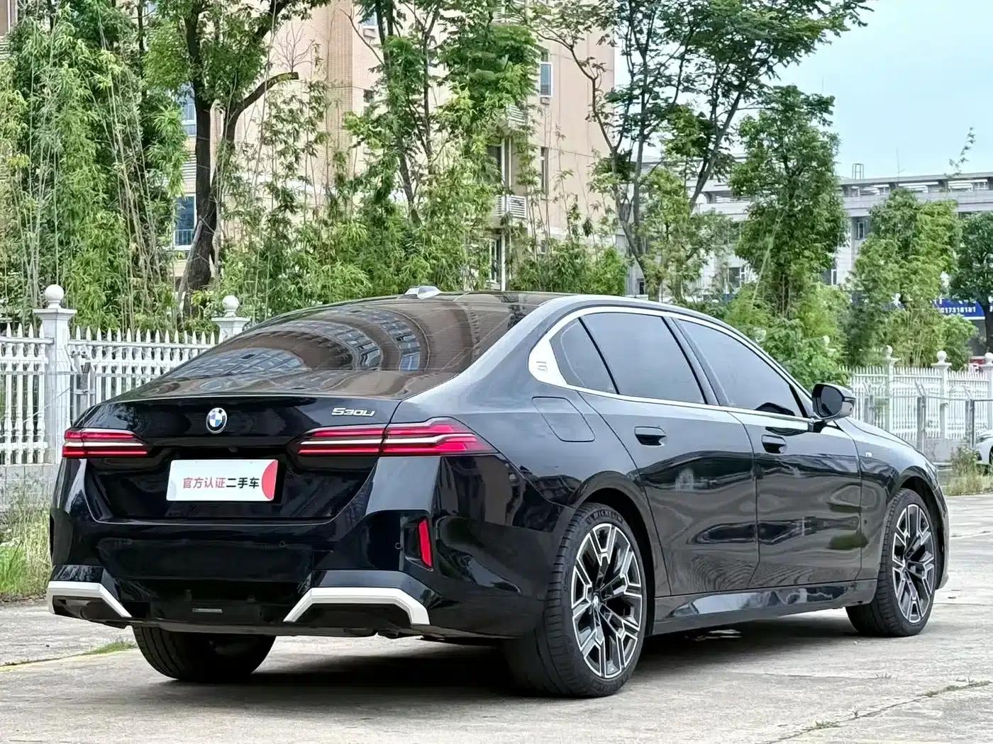 2024 BMW 5 Series 530Li Luxury M Sport Package — миниатюра 9
