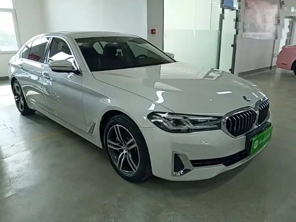 2021 BMW 5 Series 530Li xDrive Luxury Package — миниатюра 4