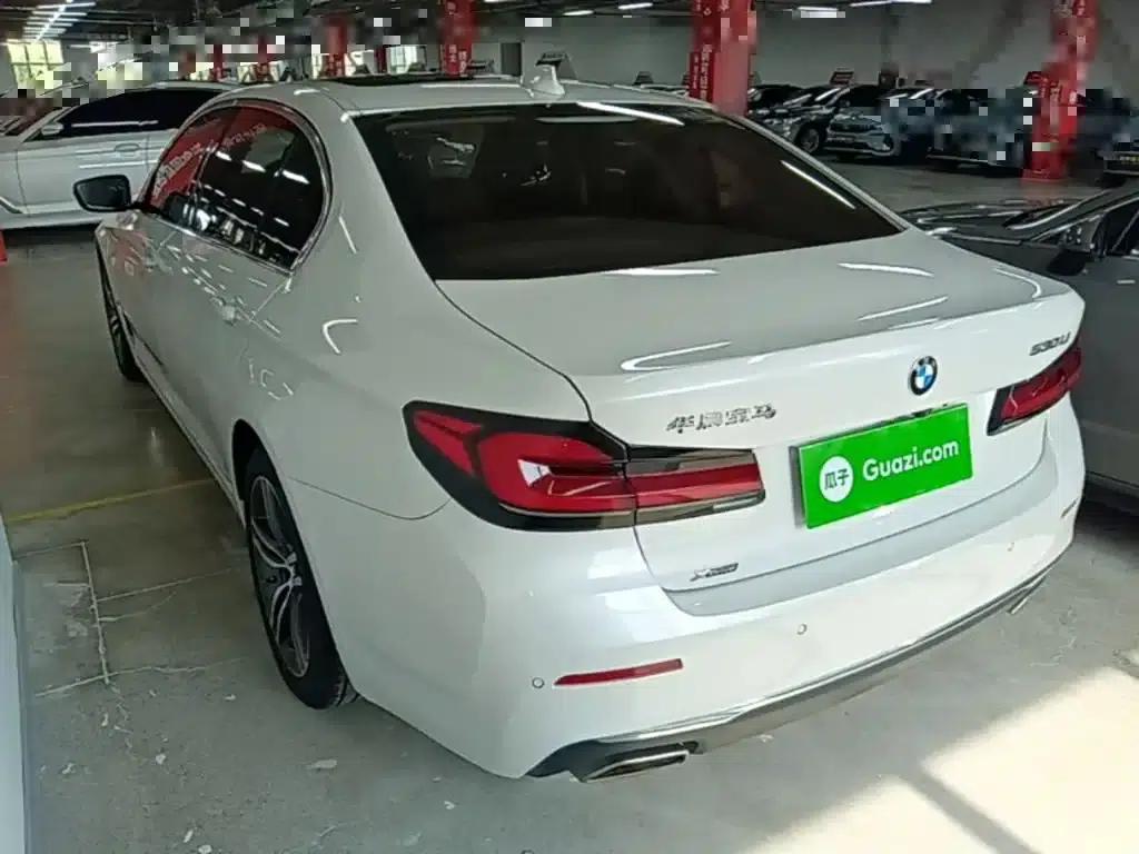 2021 BMW 5 Series 530Li xDrive Luxury Package — миниатюра 5