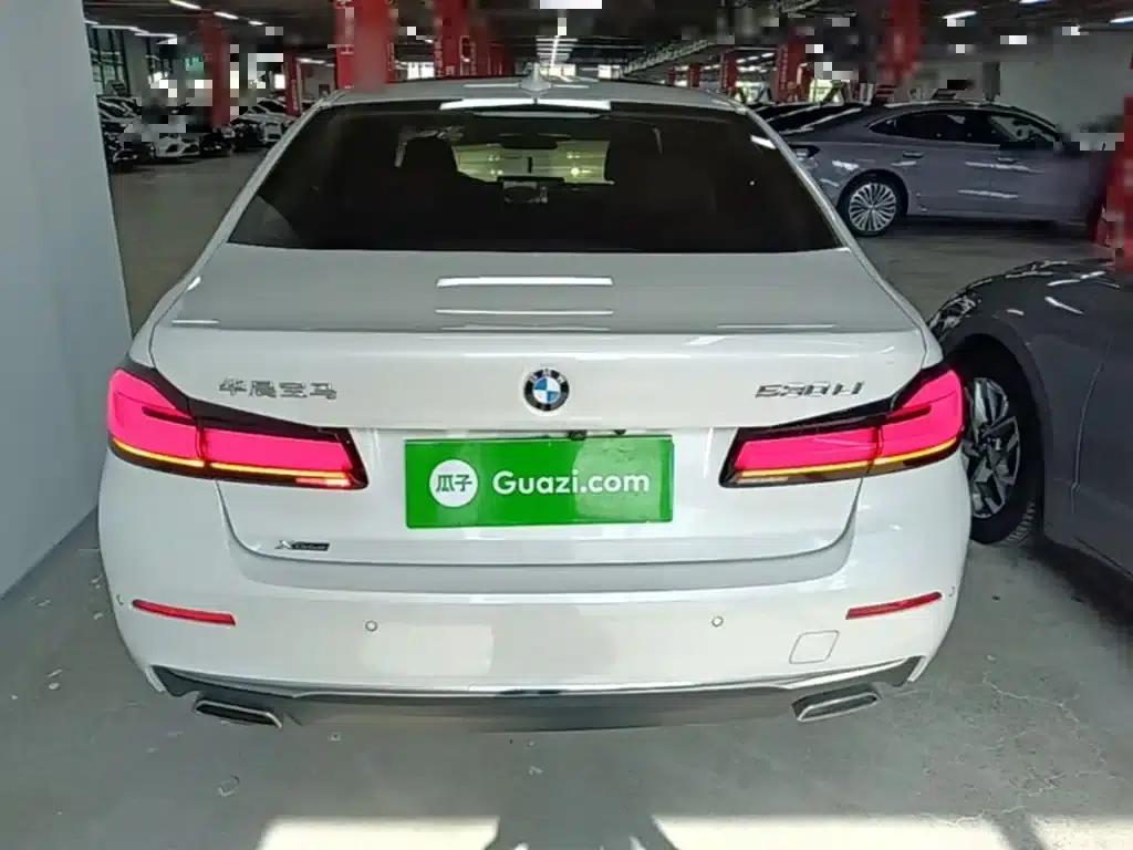 2021 BMW 5 Series 530Li xDrive Luxury Package — миниатюра 6