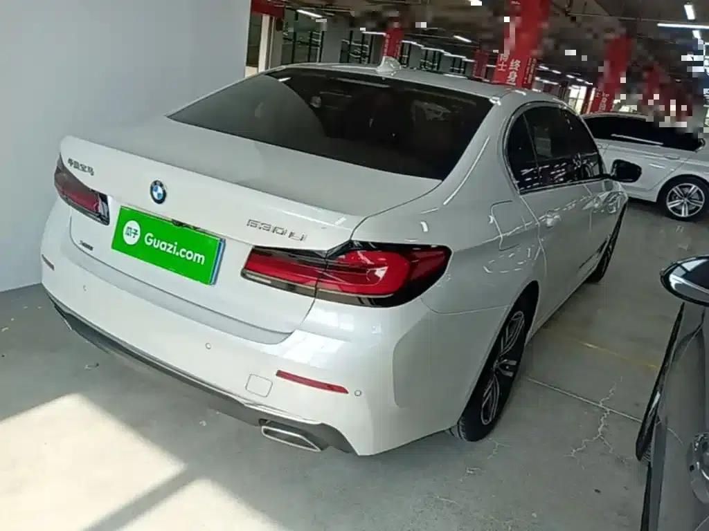 2021 BMW 5 Series 530Li xDrive Luxury Package — миниатюра 7