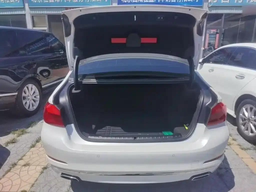 BMW 5 Series 2019 Facelift 530Li Luxury Package — миниатюра 19
