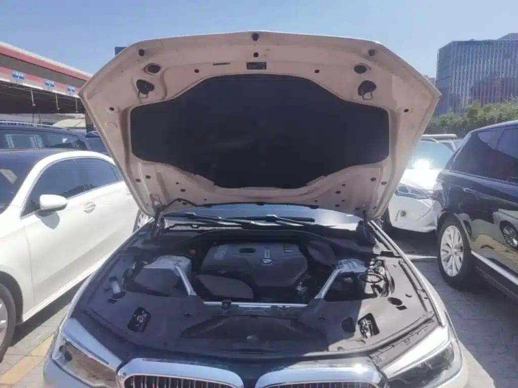 BMW 5 Series 2019 Facelift 530Li Luxury Package — миниатюра 20