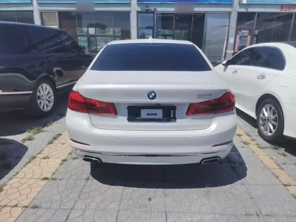 BMW 5 Series 2019 Facelift 530Li Luxury Package — миниатюра 6