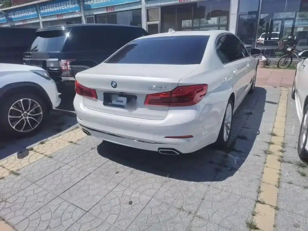 BMW 5 Series 2019 Facelift 530Li Luxury Package — миниатюра 7