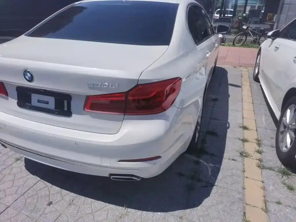 BMW 5 Series 2019 Facelift 530Li Luxury Package — миниатюра 8