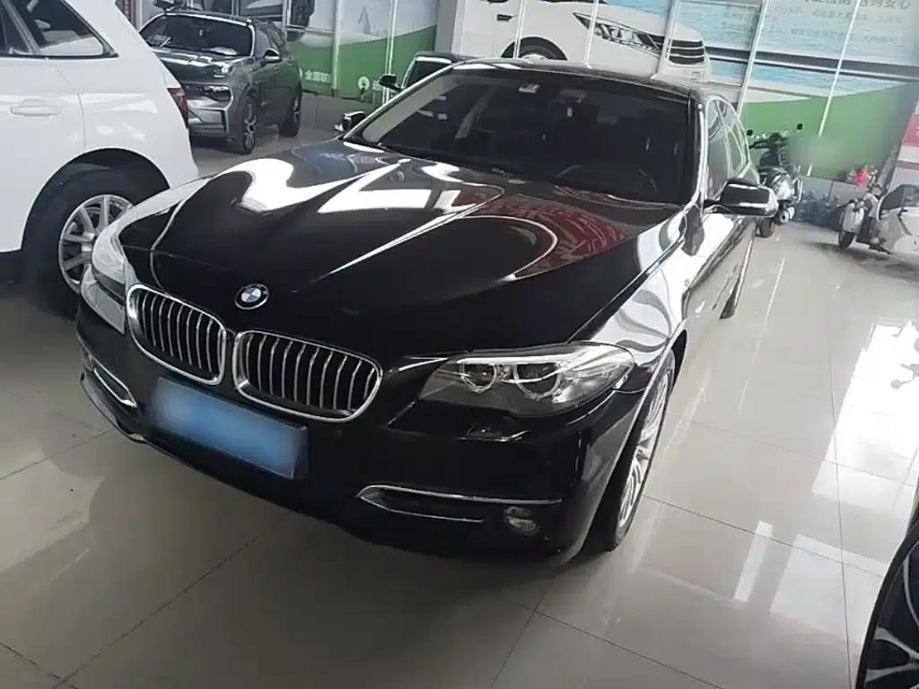 2017 BMW 5 Series 525Li Luxury Design Package — миниатюра 2