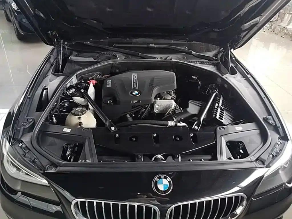 2017 BMW 5 Series 525Li Luxury Design Package — миниатюра 20
