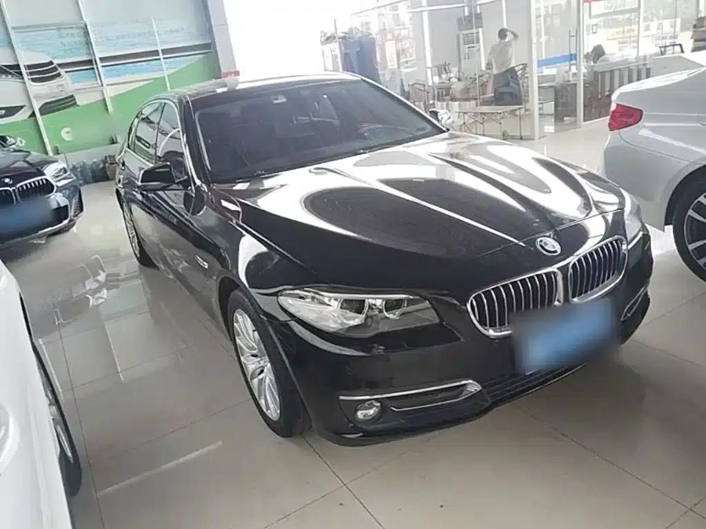 2017 BMW 5 Series 525Li Luxury Design Package — миниатюра 4