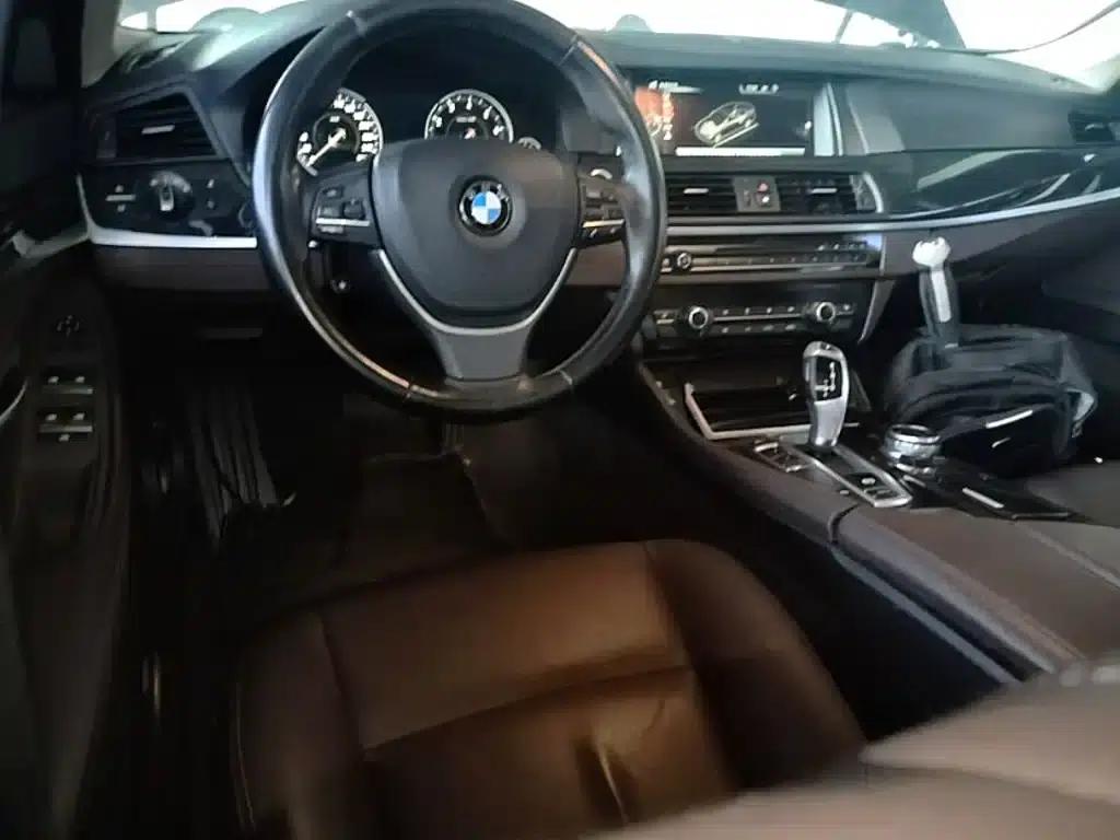 2017 BMW 5 Series 525Li Luxury Design Package — миниатюра 10