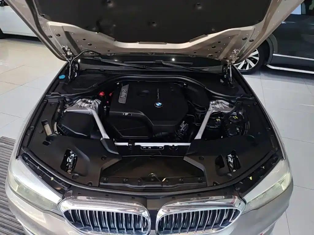 2019 BMW 5 Series Facelift 525Li Luxury Package — миниатюра 20