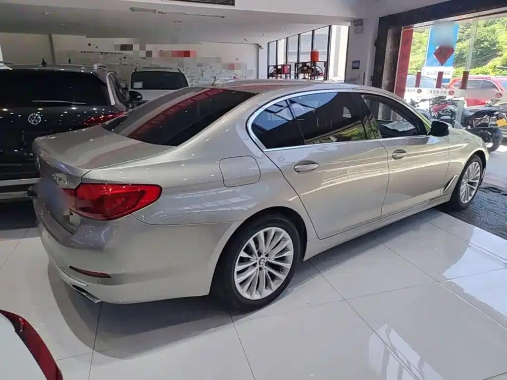 2019 BMW 5 Series Facelift 525Li Luxury Package — миниатюра 7