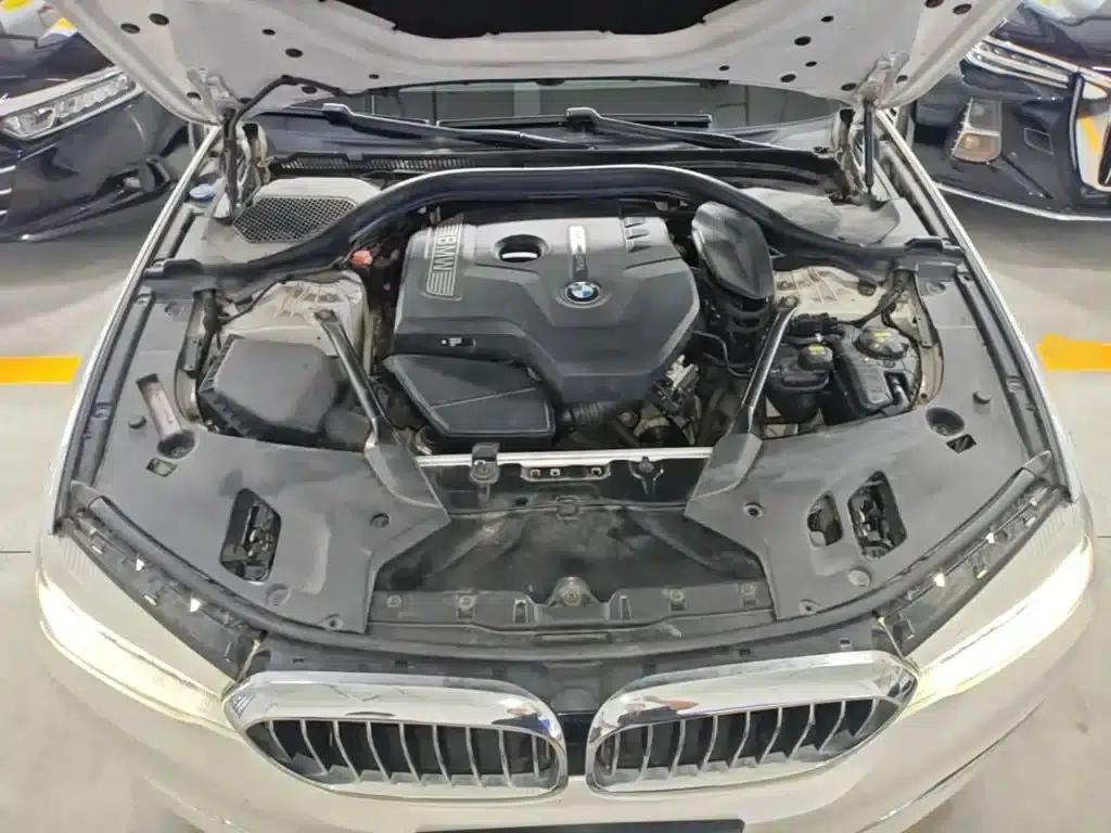 2018 BMW 5 Series 530Li Leading Luxury Package — миниатюра 20
