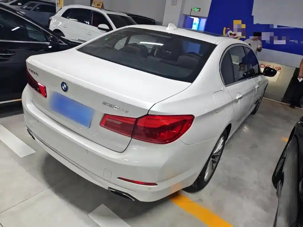 2018 BMW 5 Series 530Li Leading Luxury Package — миниатюра 7