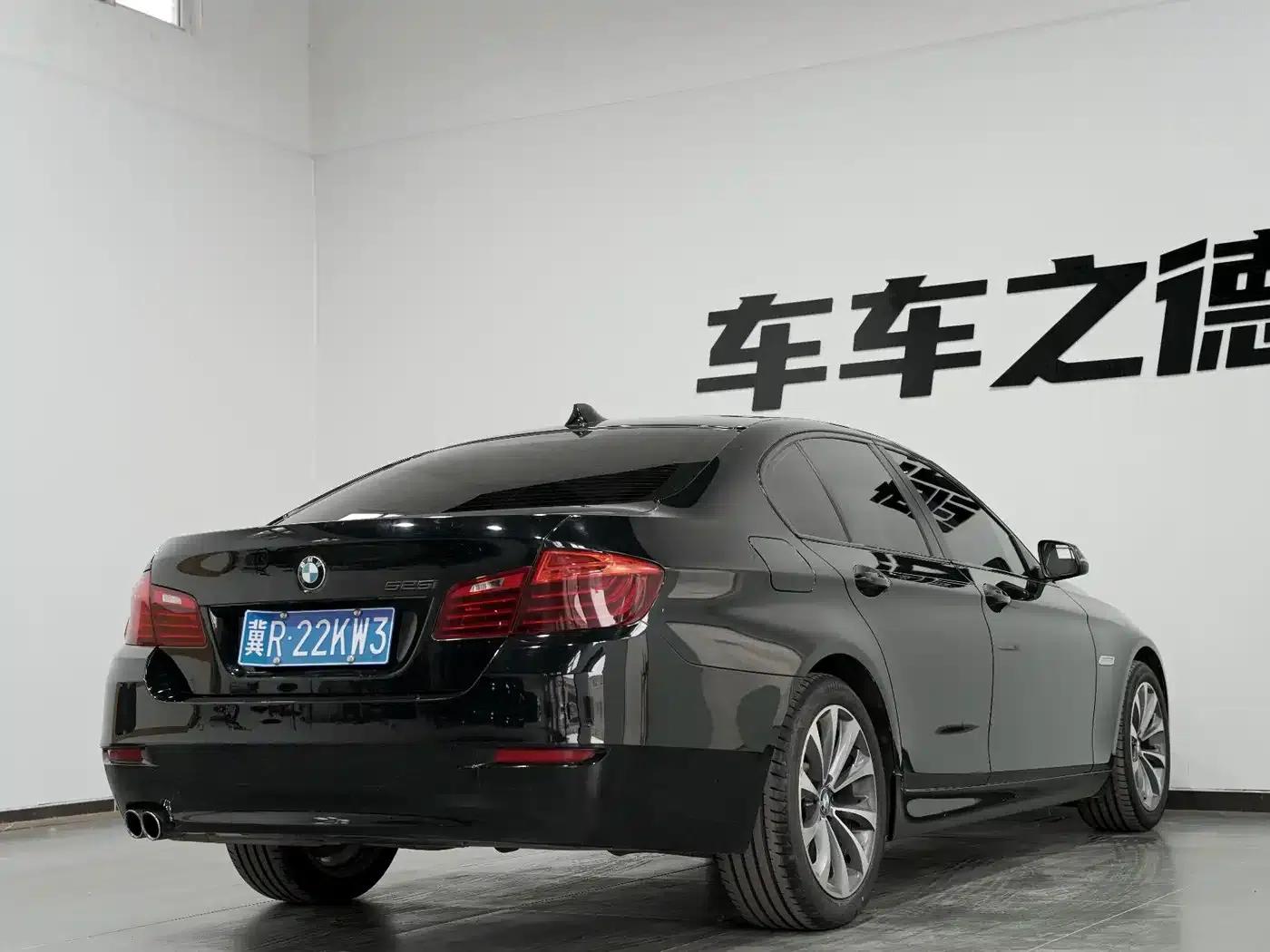 BMW 5 Series (Imported) 2014 520i Elegant Model — миниатюра 19