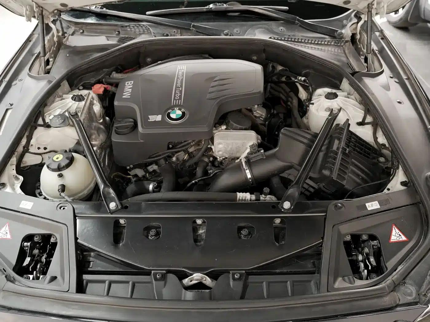 BMW 5 Series (Imported) 2014 520i Elegant Model — миниатюра 21