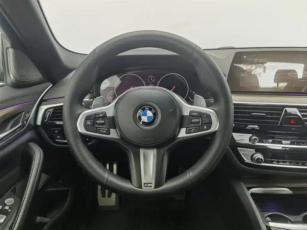 BMW 5 Series (Imported) 2019 530i M Sport Package — миниатюра 11