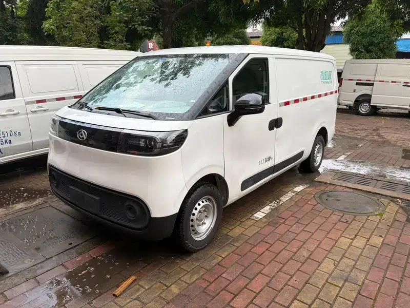 Dana V1 2023 Short Wheelbase Low Roof 42kWh — миниатюра 1