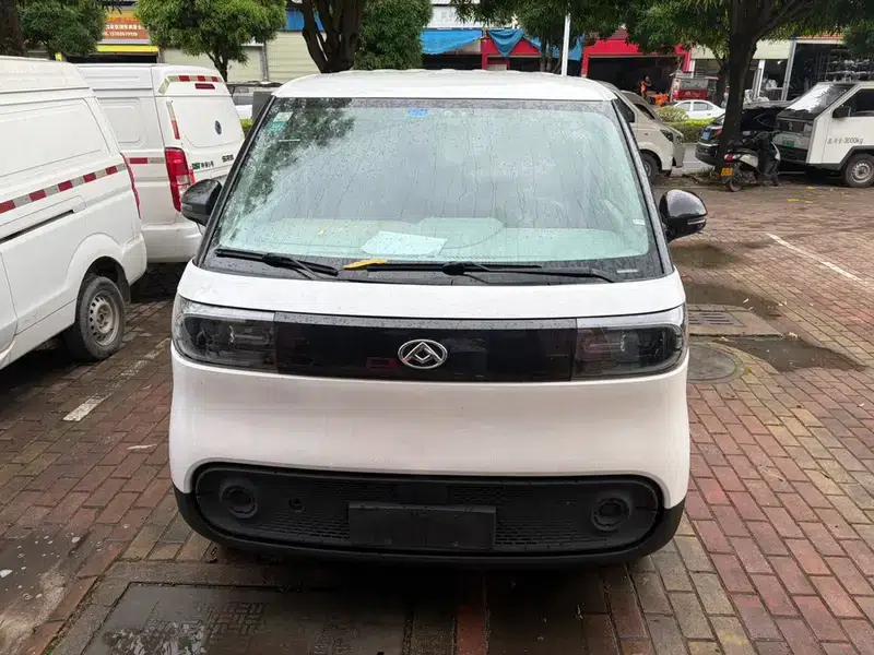 Dana V1 2023 Short Wheelbase Low Roof 42kWh — миниатюра 2