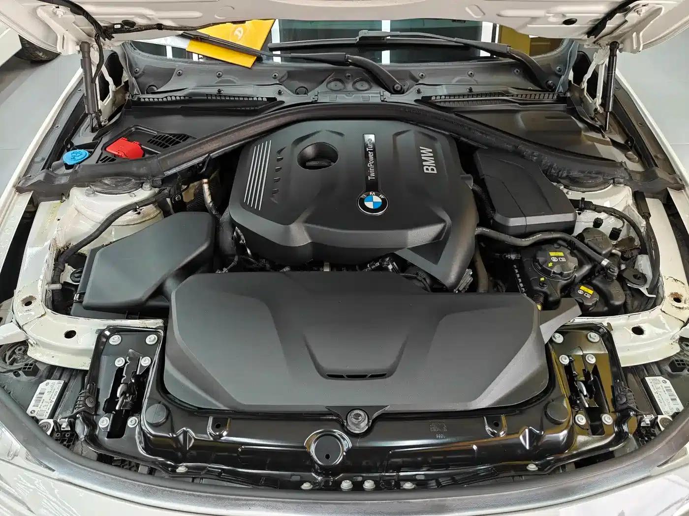 2019 BMW 3 Series 320Li M Luxury Package — миниатюра 12