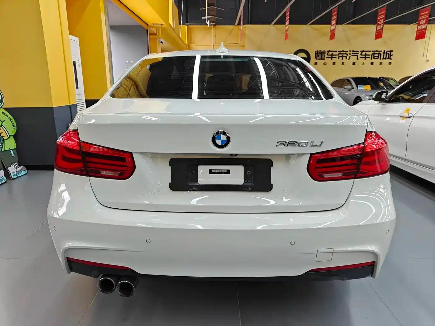 2019 BMW 3 Series 320Li M Luxury Package — миниатюра 6