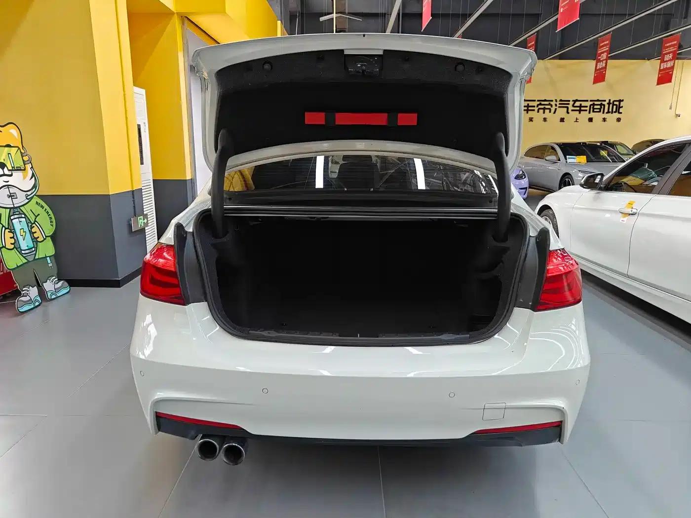 2019 BMW 3 Series 320Li M Luxury Package — миниатюра 8