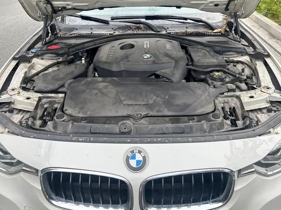 2019 BMW 3 Series 320Li M Luxury Package — миниатюра 13
