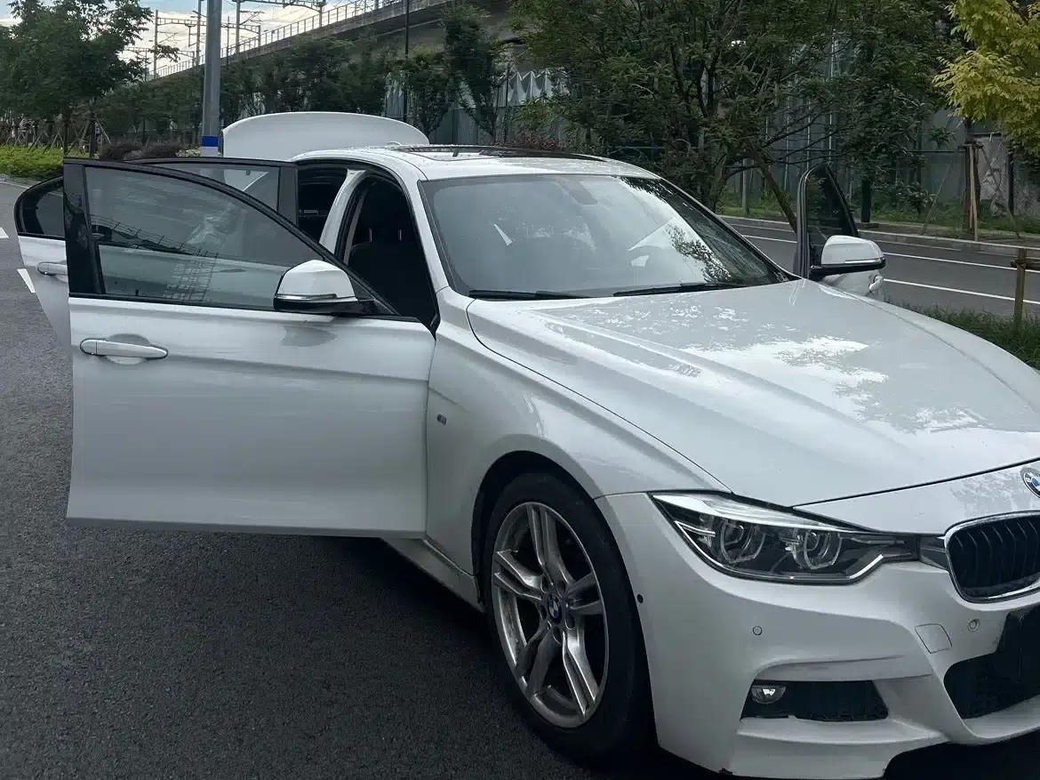 2019 BMW 3 Series 320Li M Luxury Package — миниатюра 16