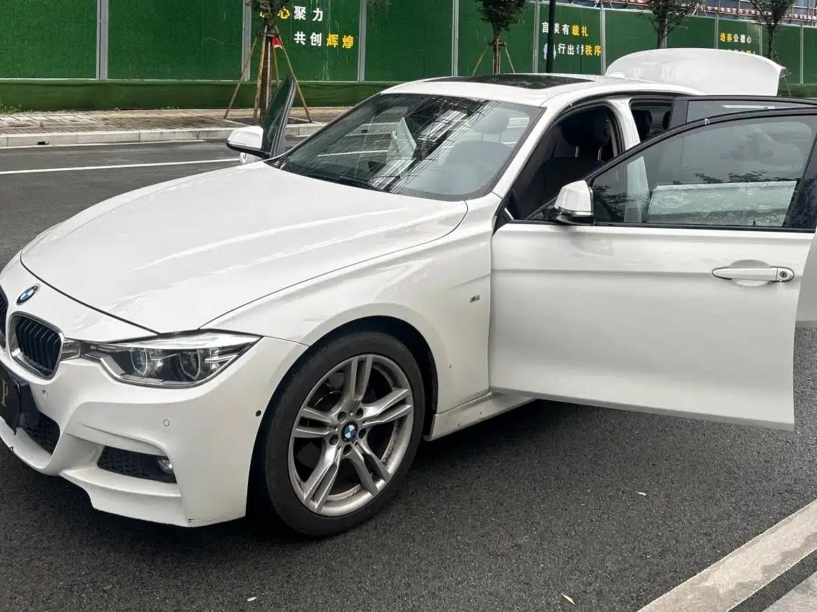 2019 BMW 3 Series 320Li M Luxury Package — миниатюра 17