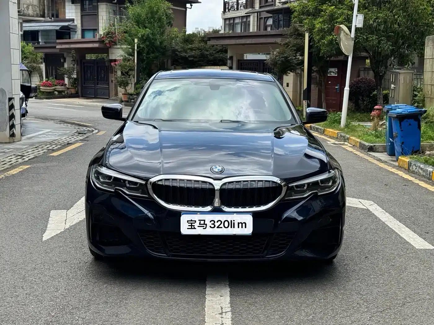 2020 BMW 3 Series 320Li M Sport Package — миниатюра 1